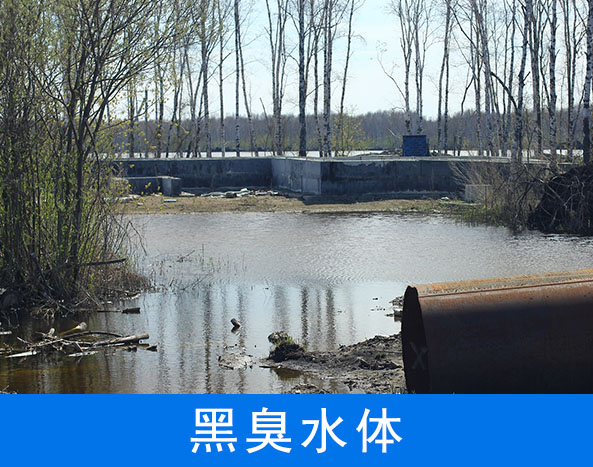 黑臭水體監(jiān)測(cè)