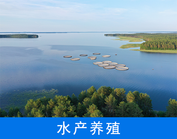水產(chǎn)養(yǎng)殖水質(zhì)監(jiān)測(cè)